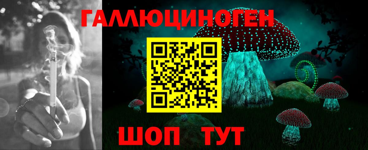 Галлюциногенные грибы мухоморы  Вход с VPN  Лосино-Петровский  Галлюциногенные грибы Psilocybe 